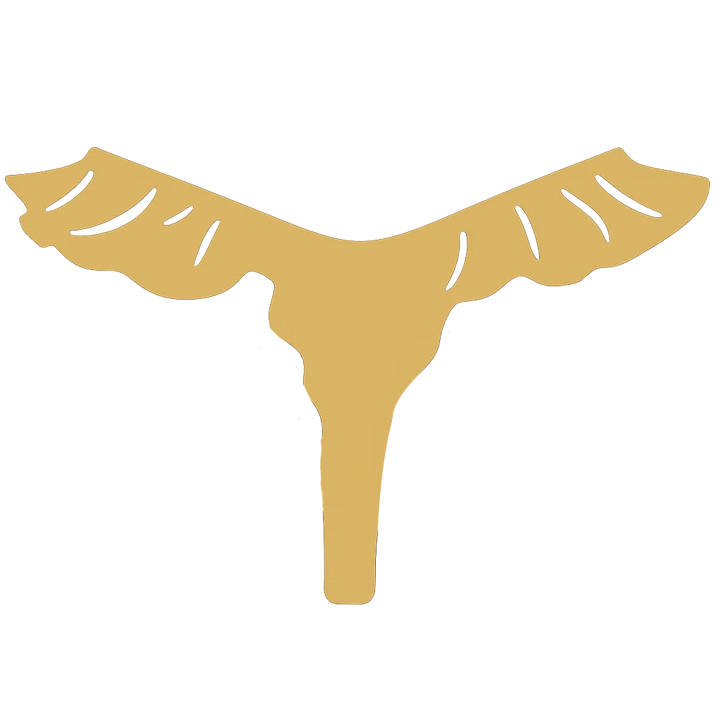 French Cut Thong icon